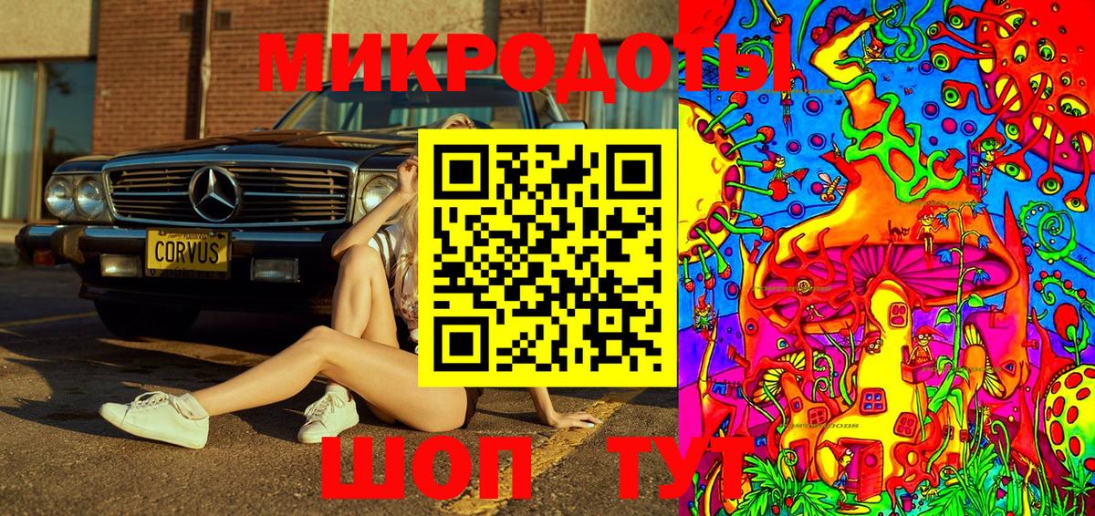 Псилоцибиновые грибы мицелий Черняховск