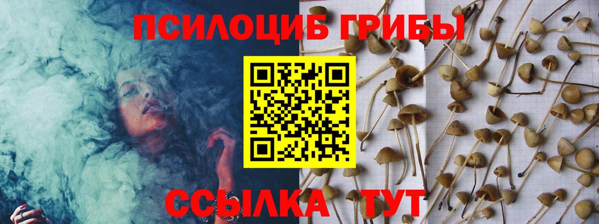 Псилоцибиновые грибы мицелий  Вход с VPN  где найти наркотики  Черняховск 